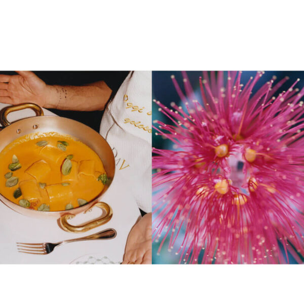 LIGURIA: Recipes