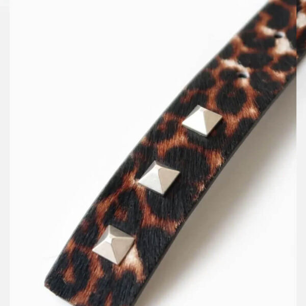 MOLEBO M2451 Belt - Leo Pony