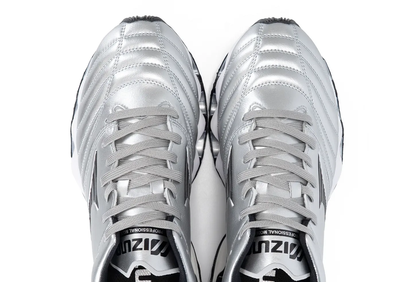 Mizuno morelia